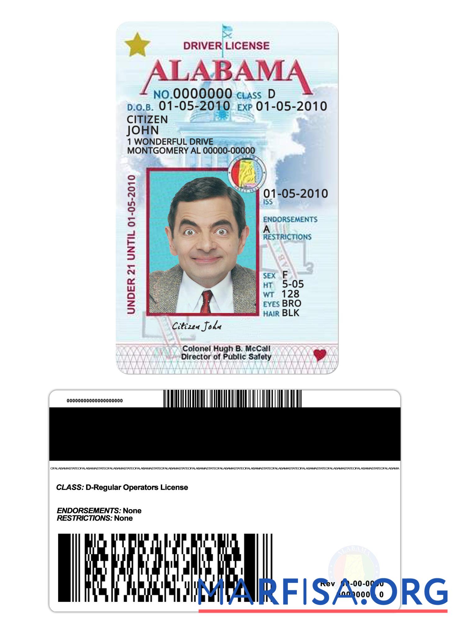 Blank USA Alabama driving license under 21 example